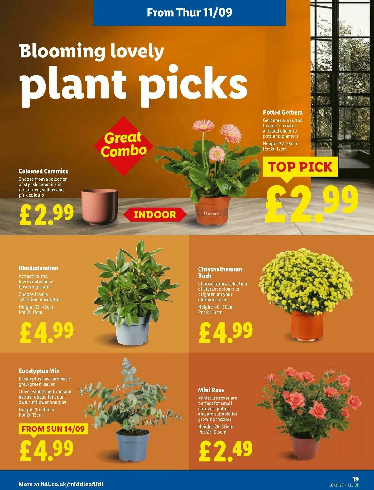 LIDL Wales Offers from 11 September