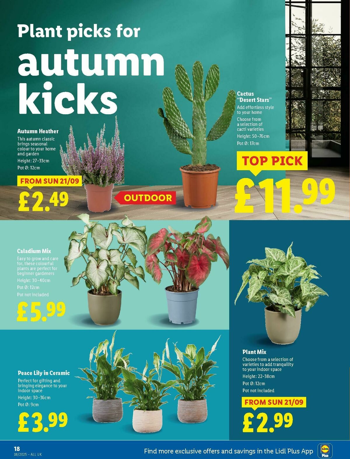 LIDL Scotland Offers from 18 September