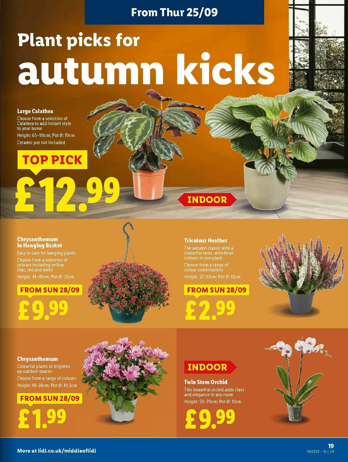 LIDL Offers from 25 September
