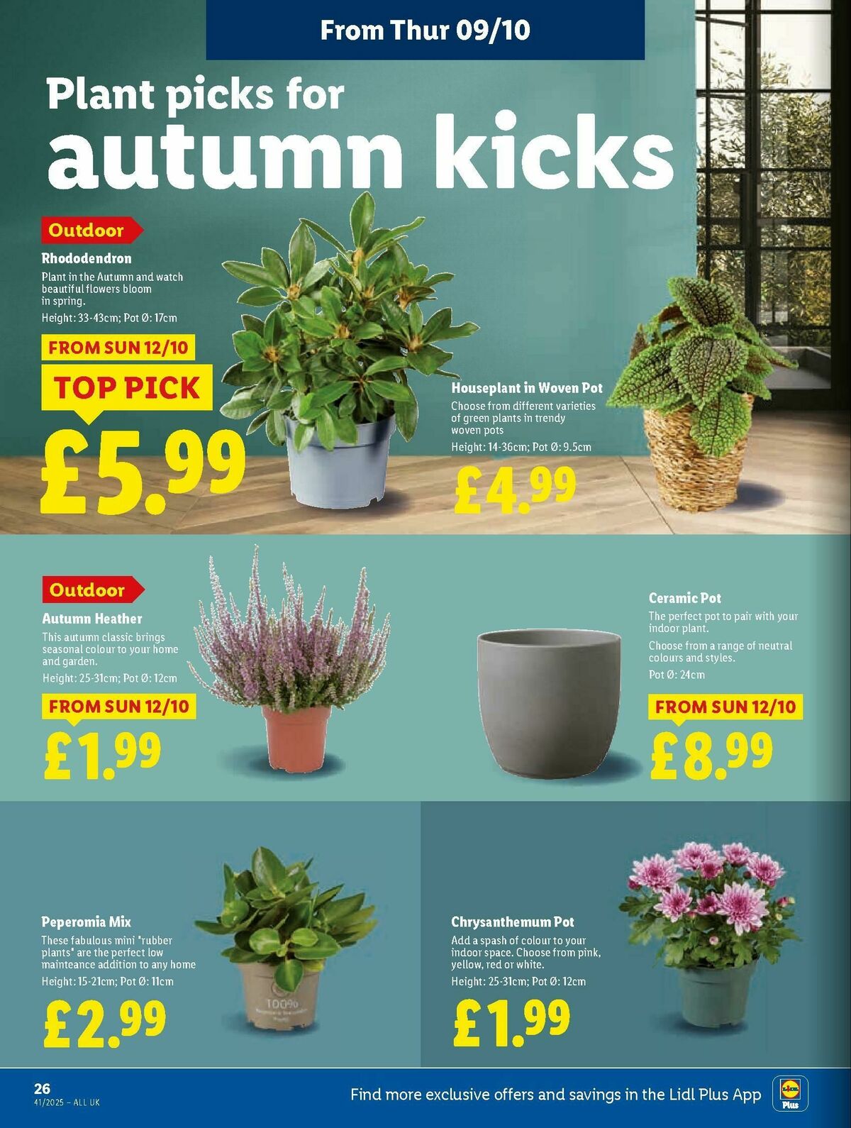 LIDL Wales Offers from 9 October