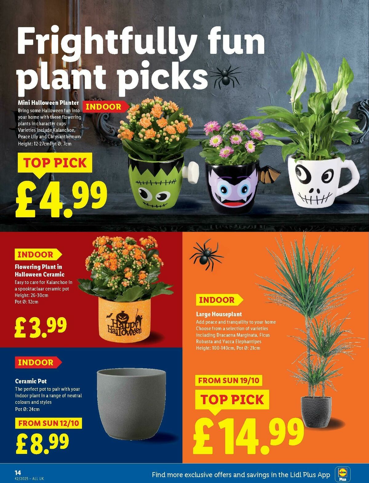 LIDL Offers from 16 October