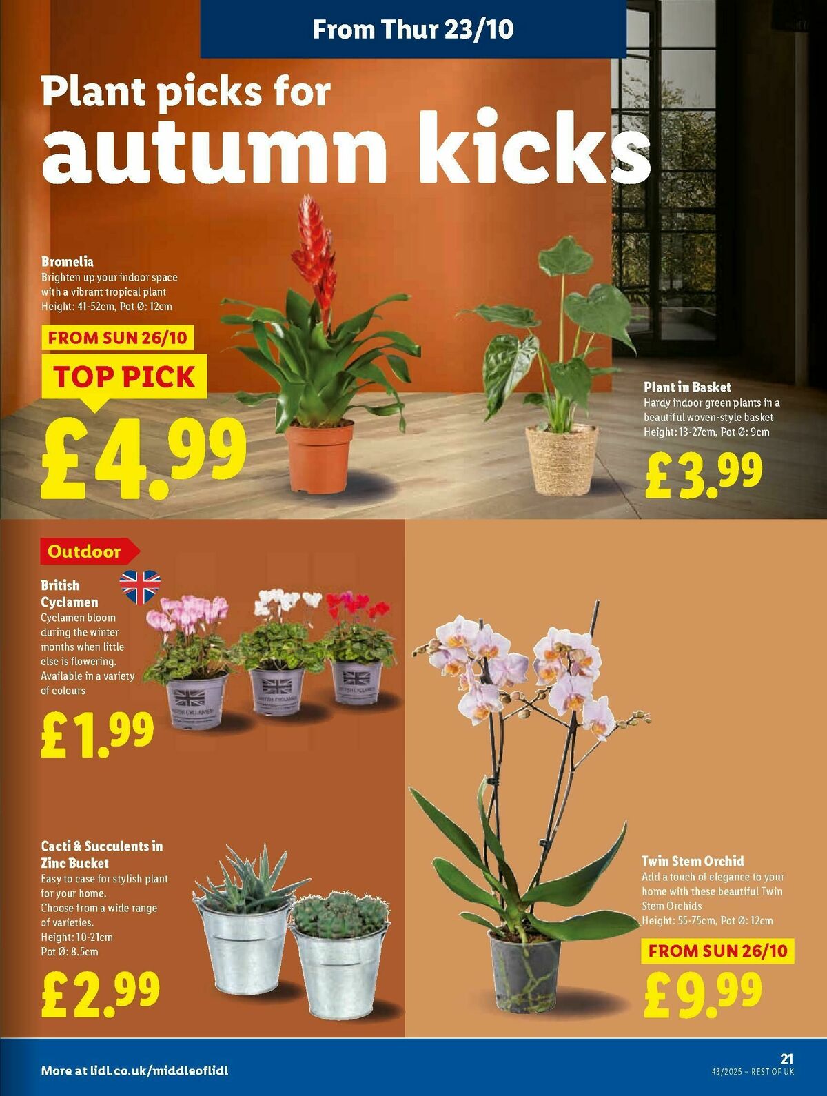 LIDL Offers from 23 October