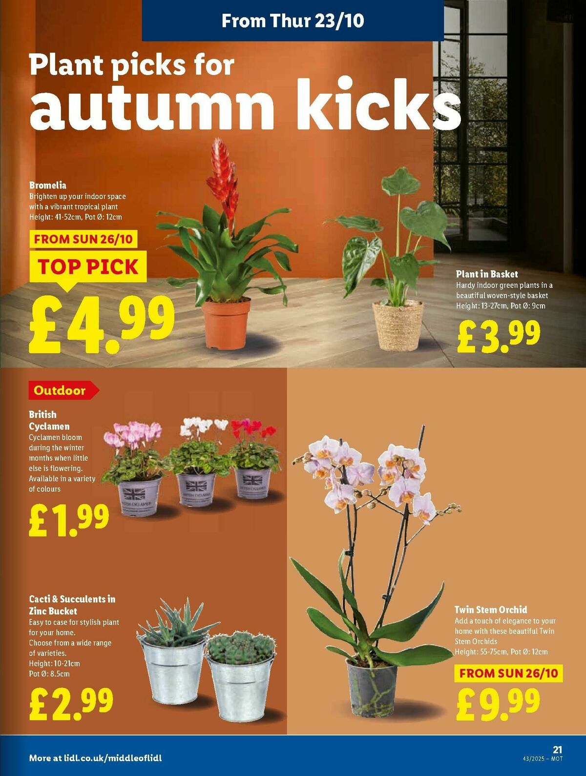 LIDL Scotland Offers from 23 October