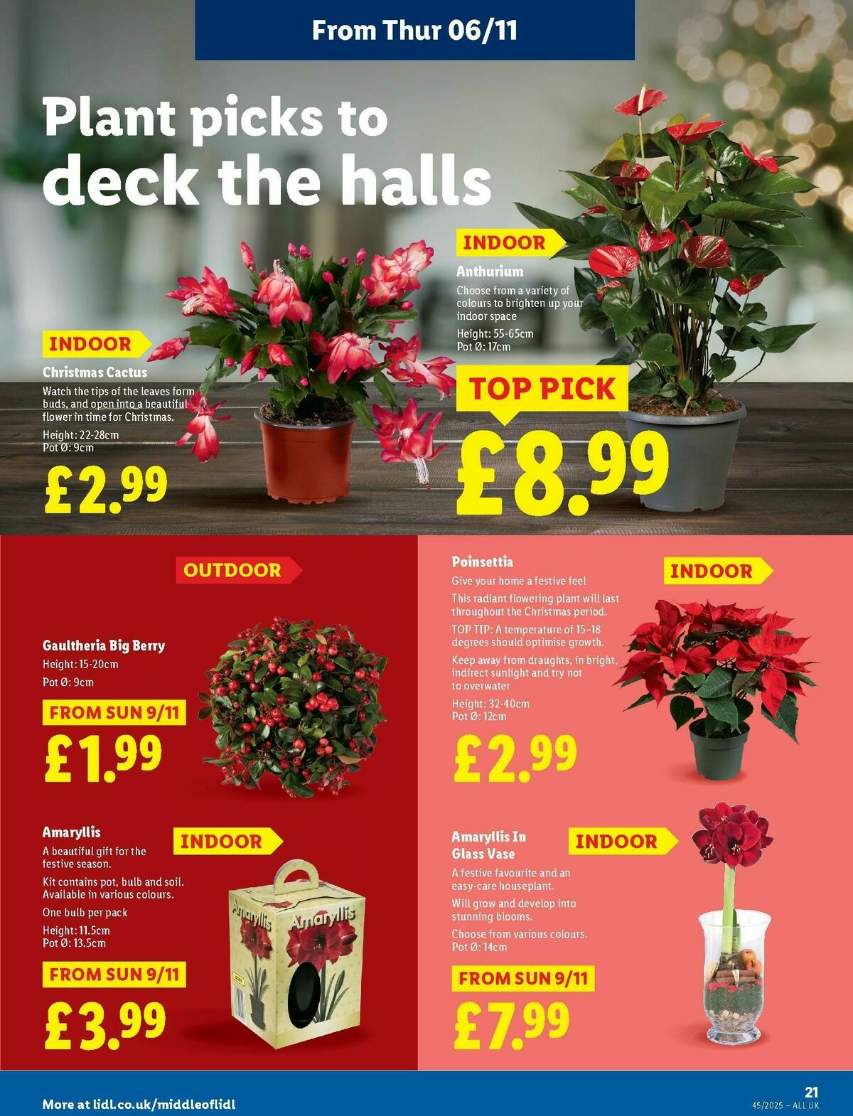 LIDL Offers from 6 November