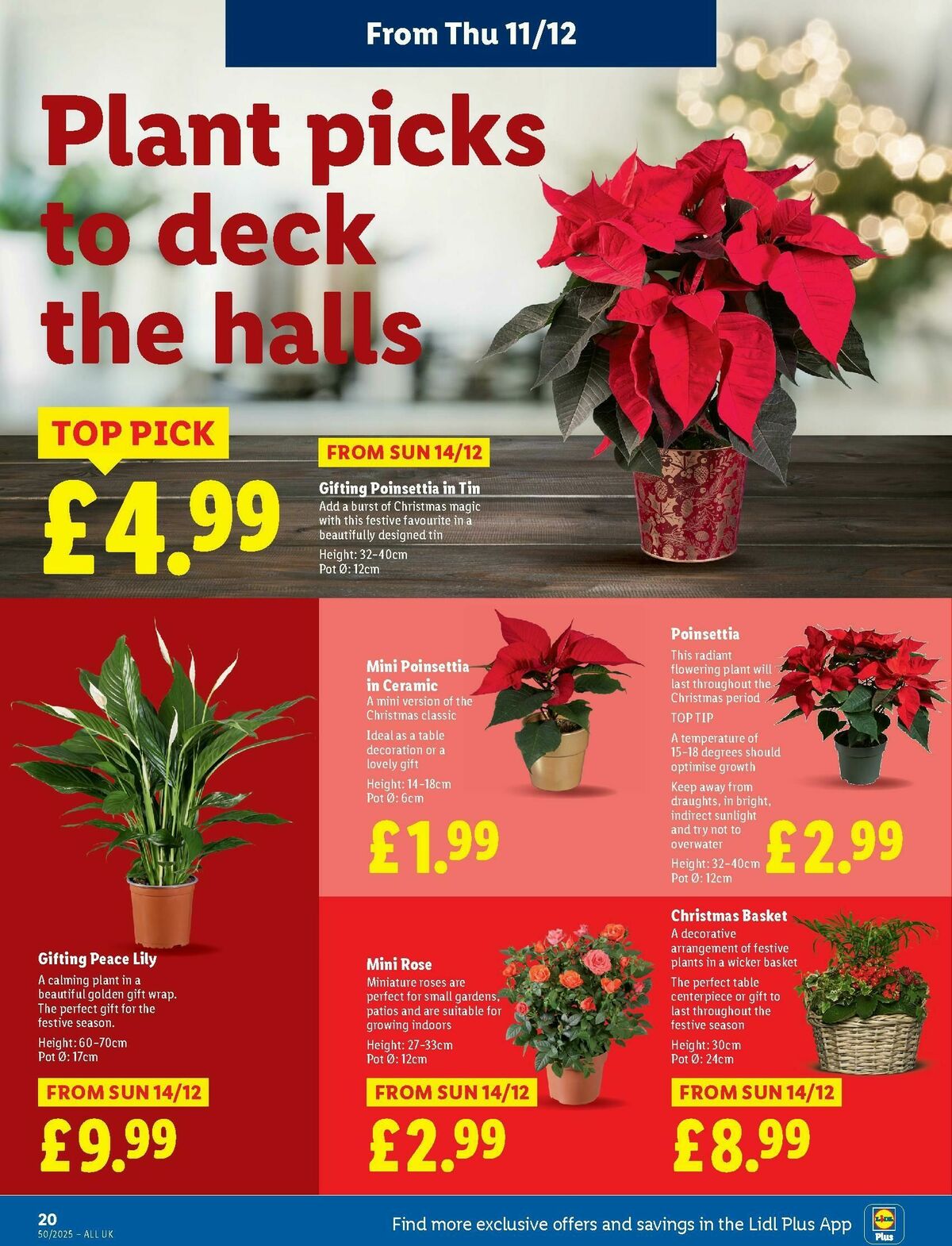 LIDL Offers from 11 December