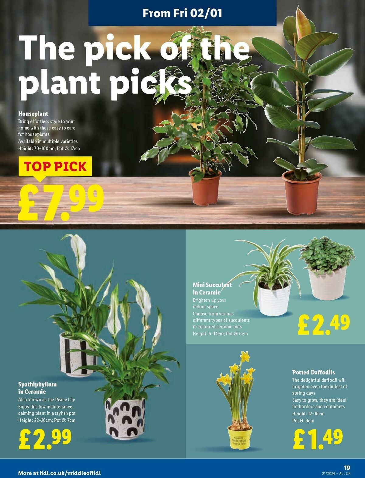 LIDL Offers from 31 December