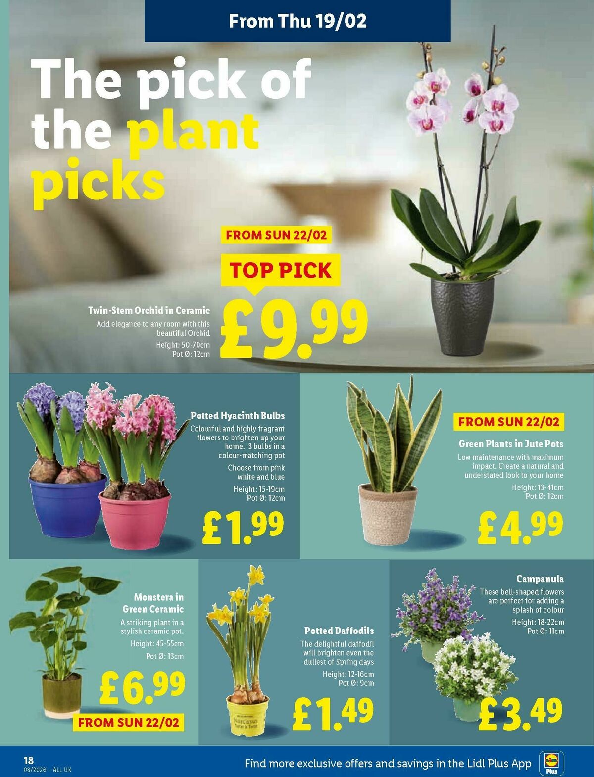 LIDL Offers from 19 February
