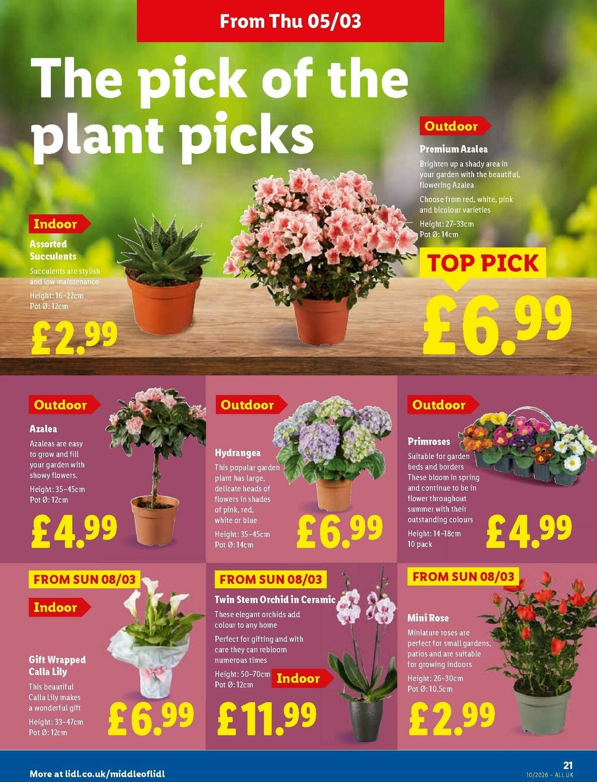 LIDL Wales Offers from 5 March