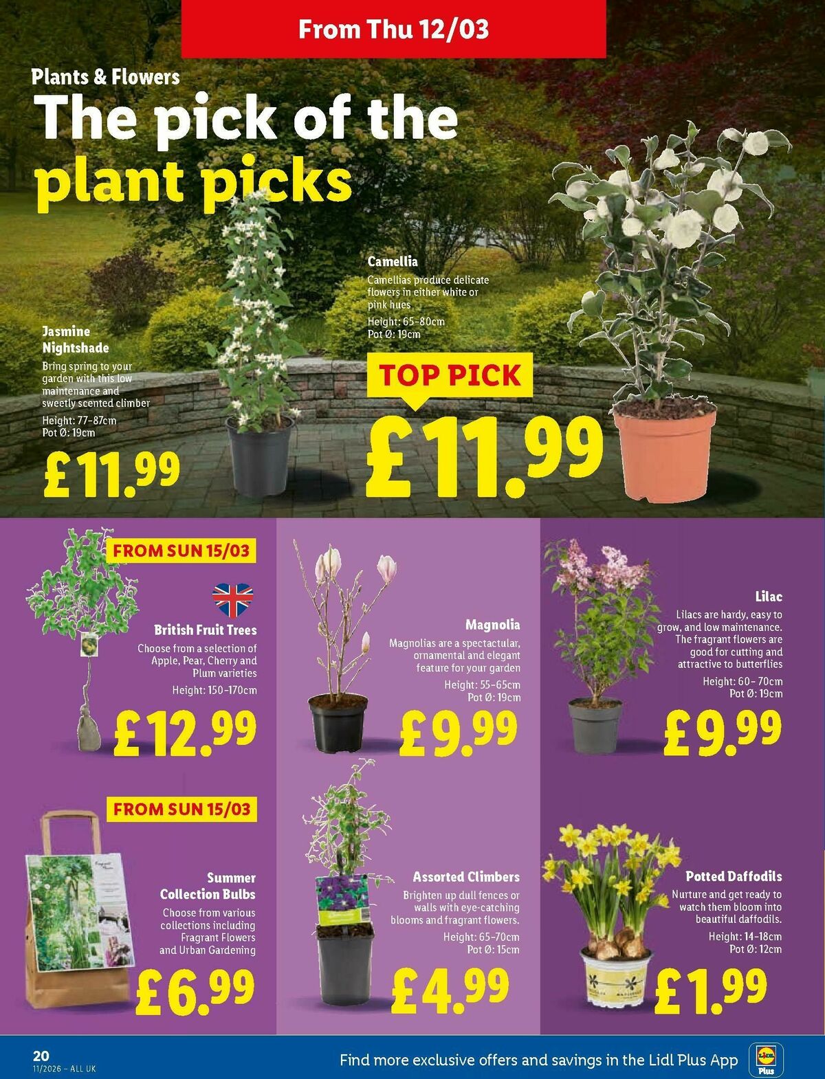 LIDL Offers from 12 March