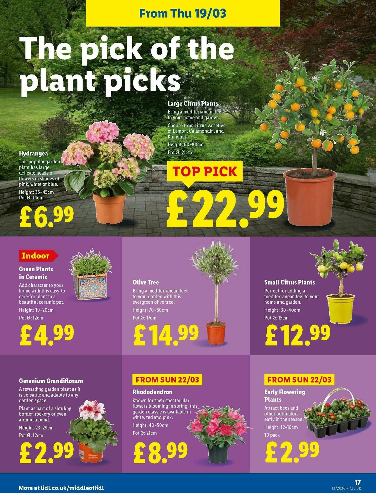 LIDL Wales Offers from 19 March