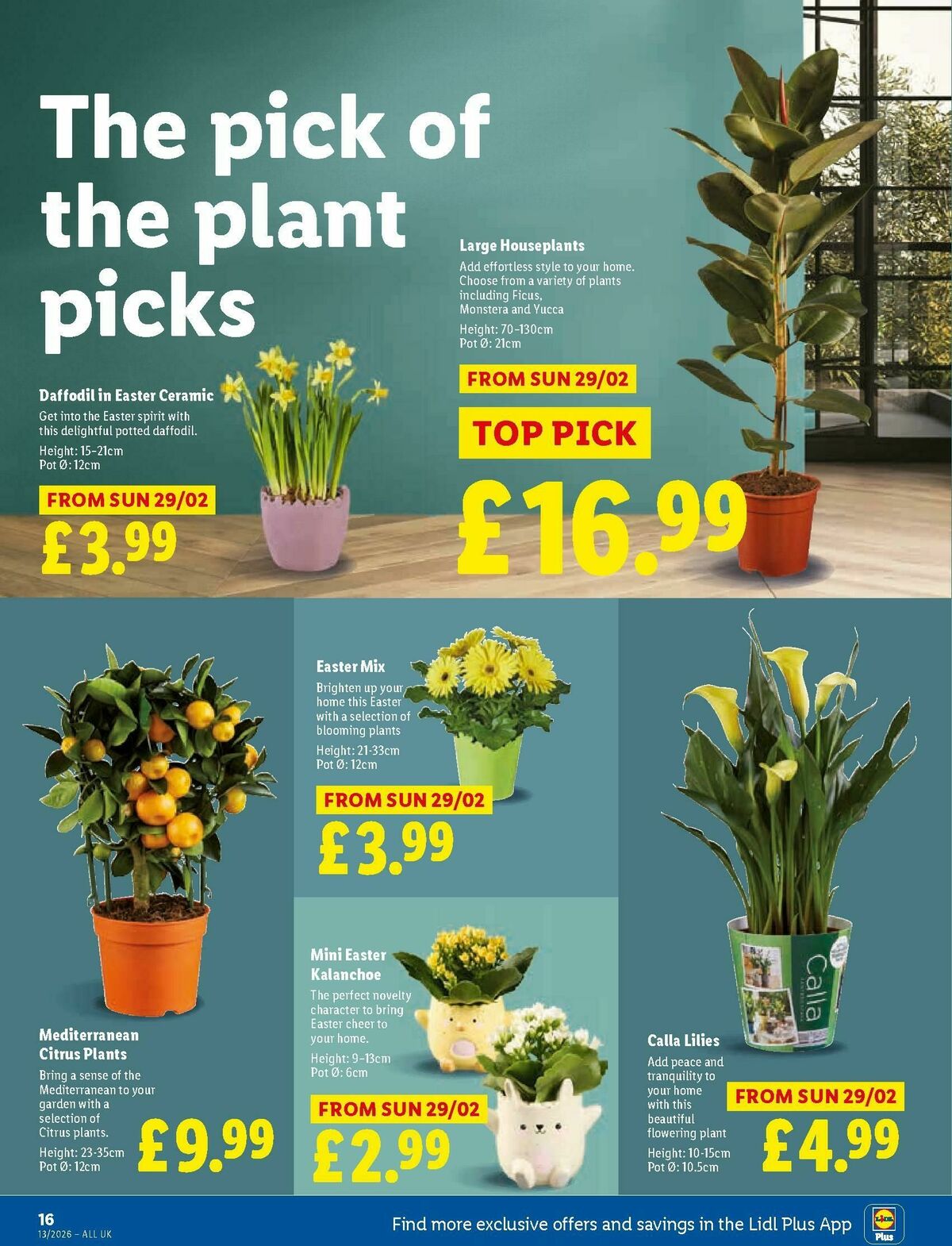 LIDL Offers from 26 March