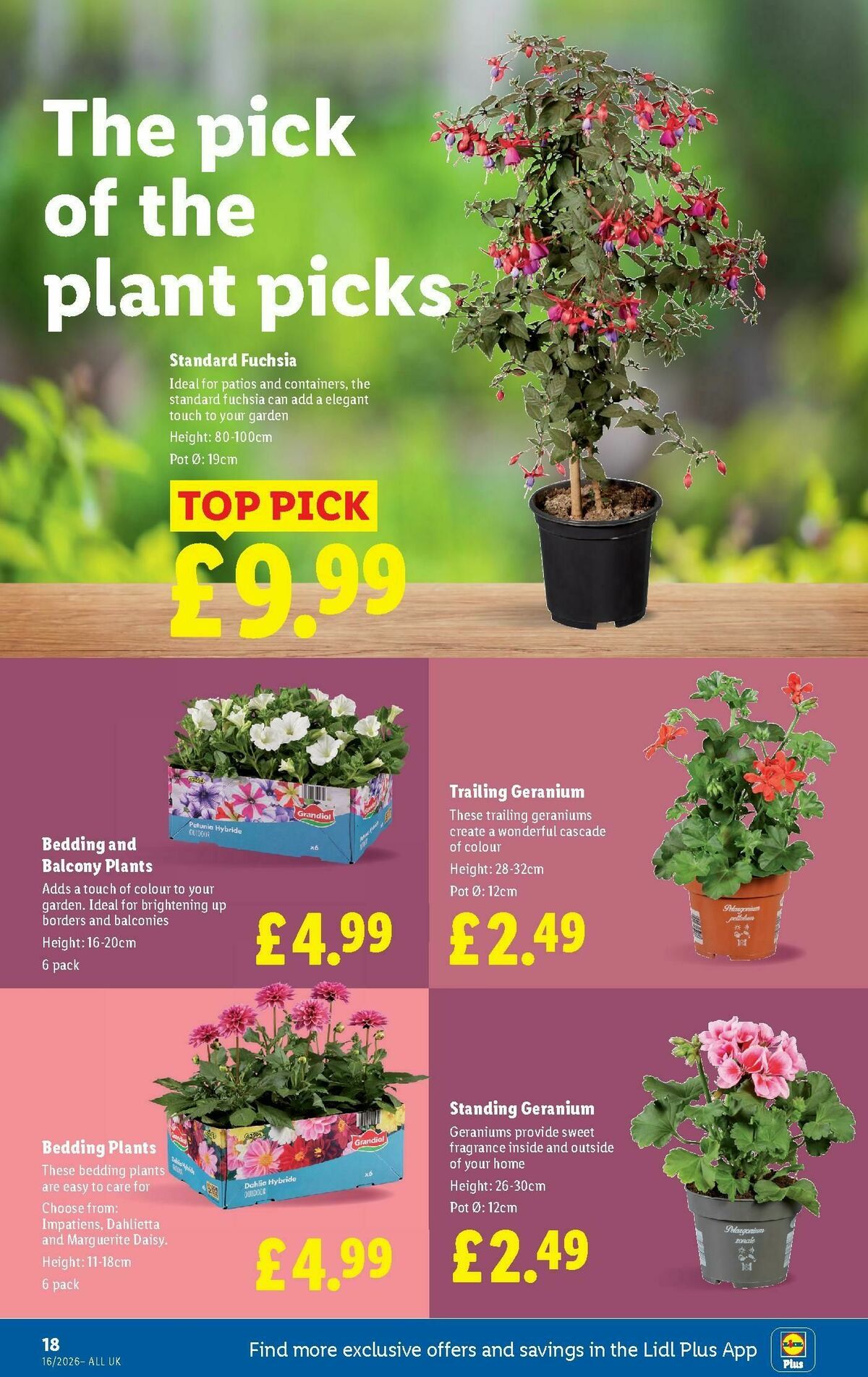 LIDL Scotland Offers from 16 April