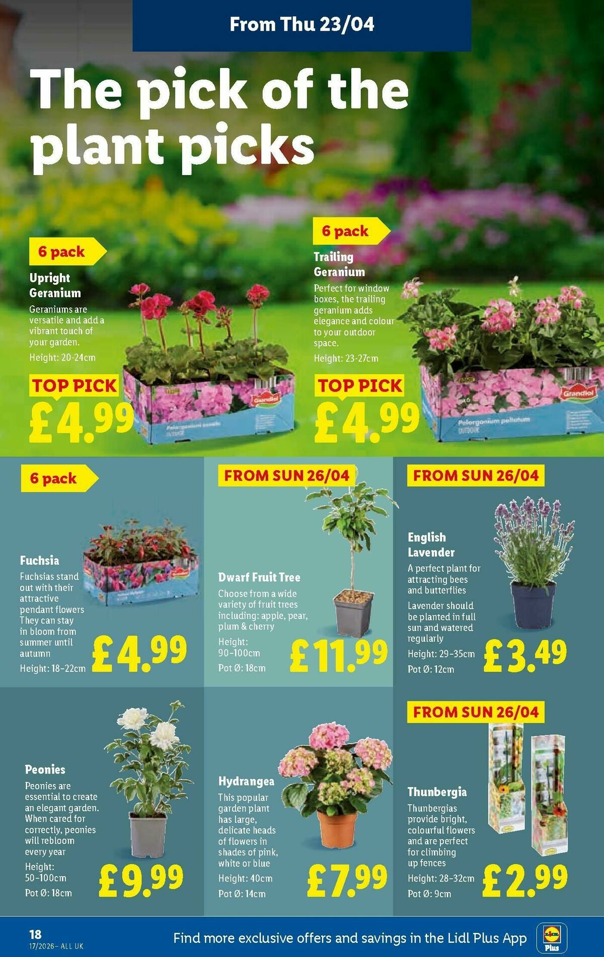 LIDL Wales Offers from 23 April