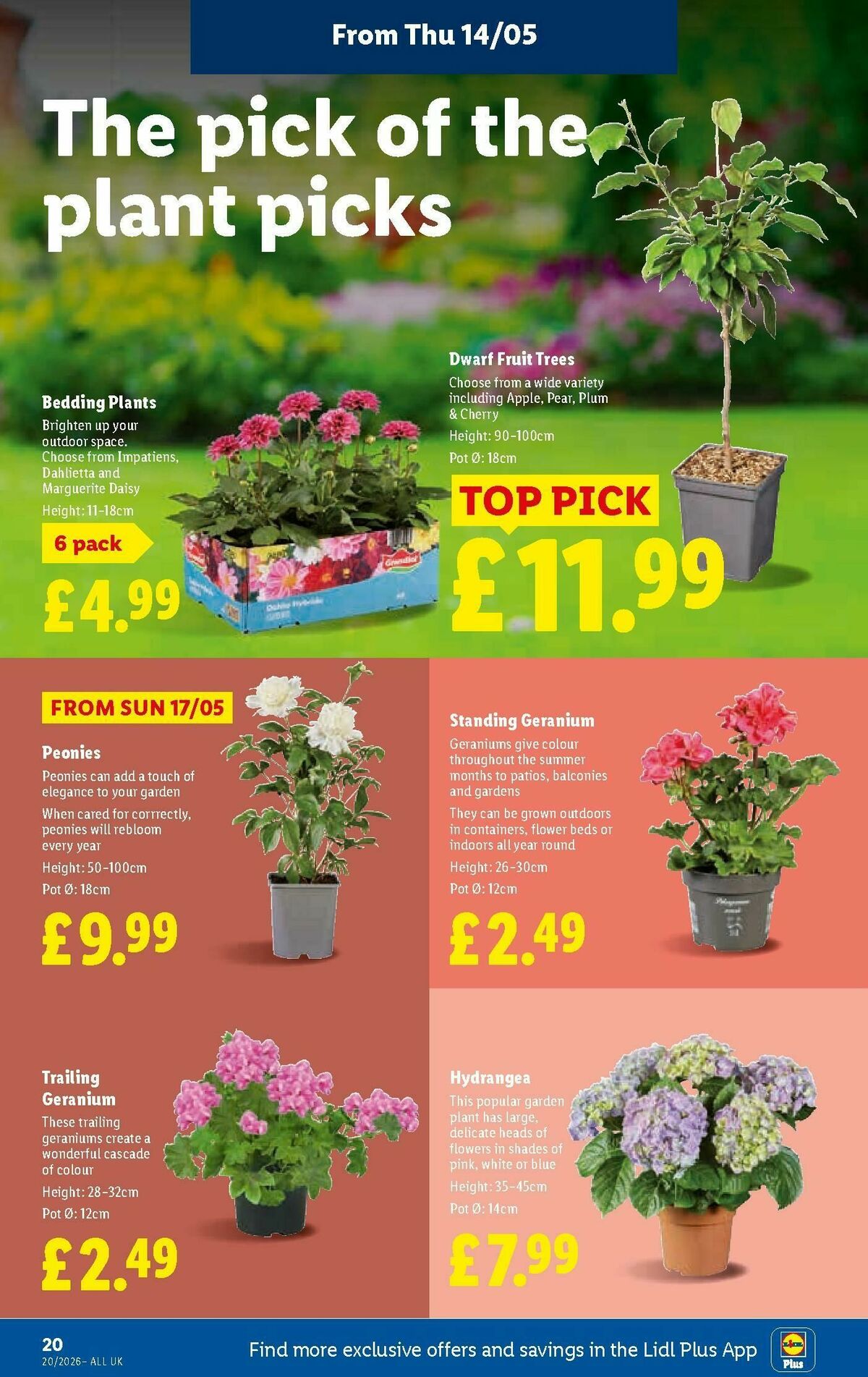 LIDL Wales Offers from 14 May