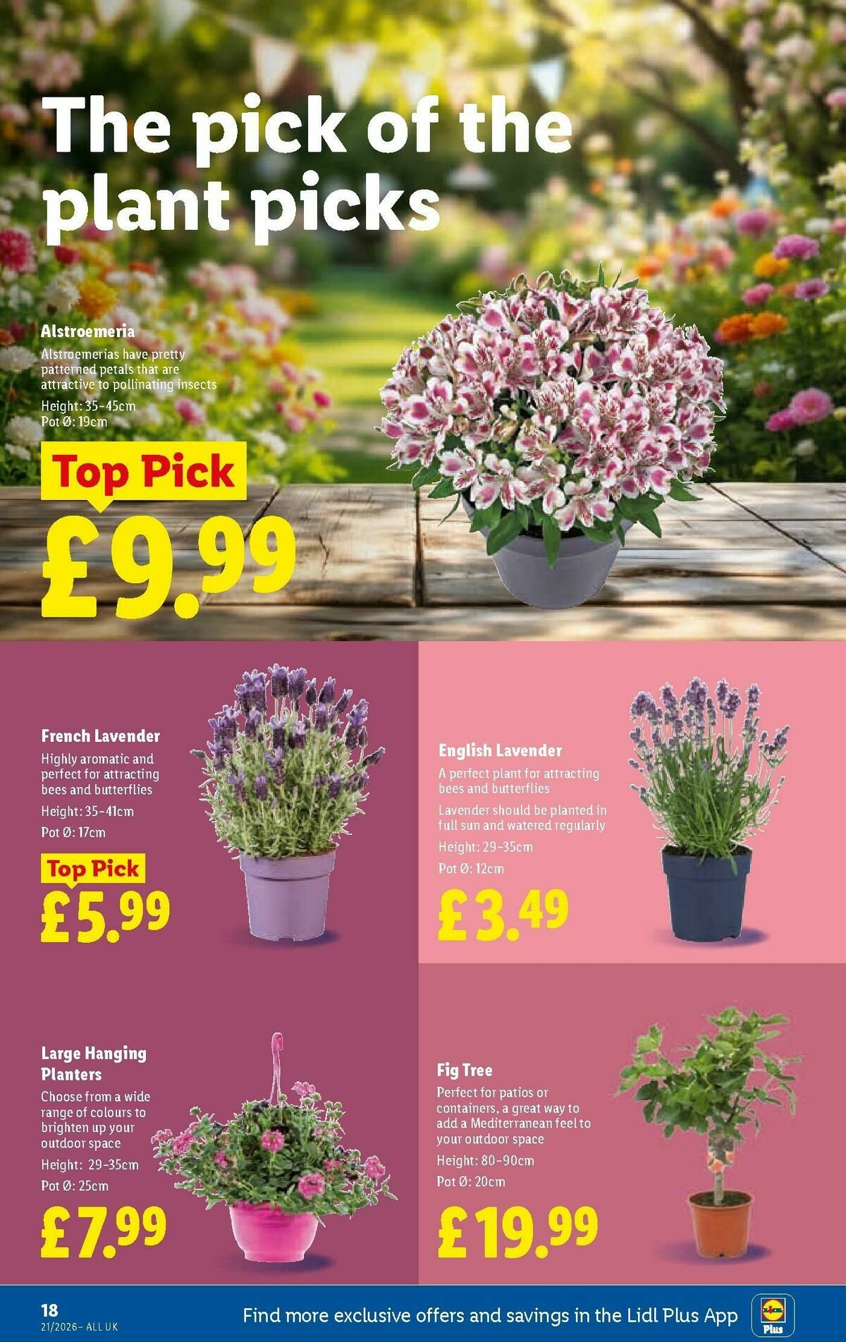 LIDL Offers from 21 May