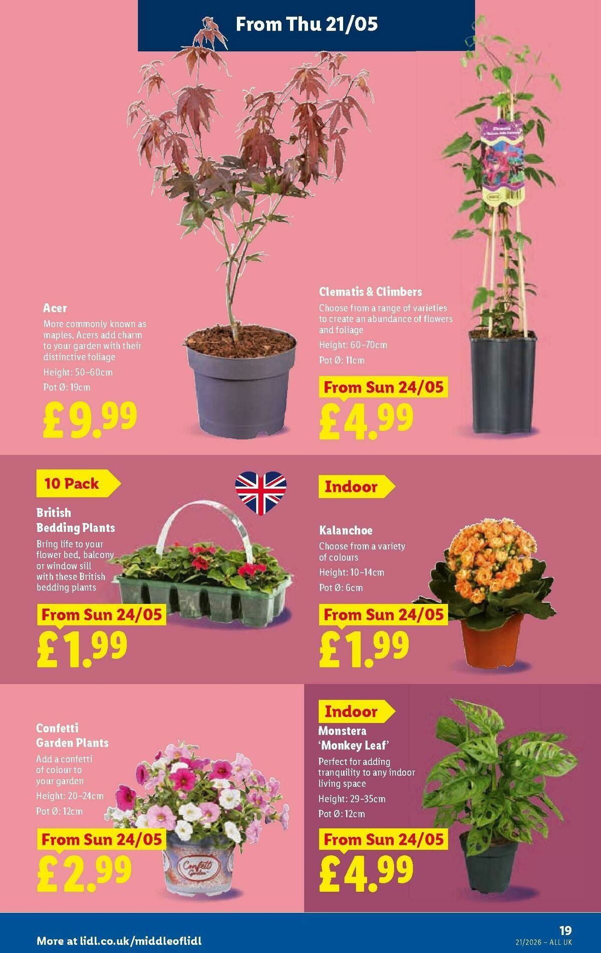 LIDL Wales Offers from 21 May