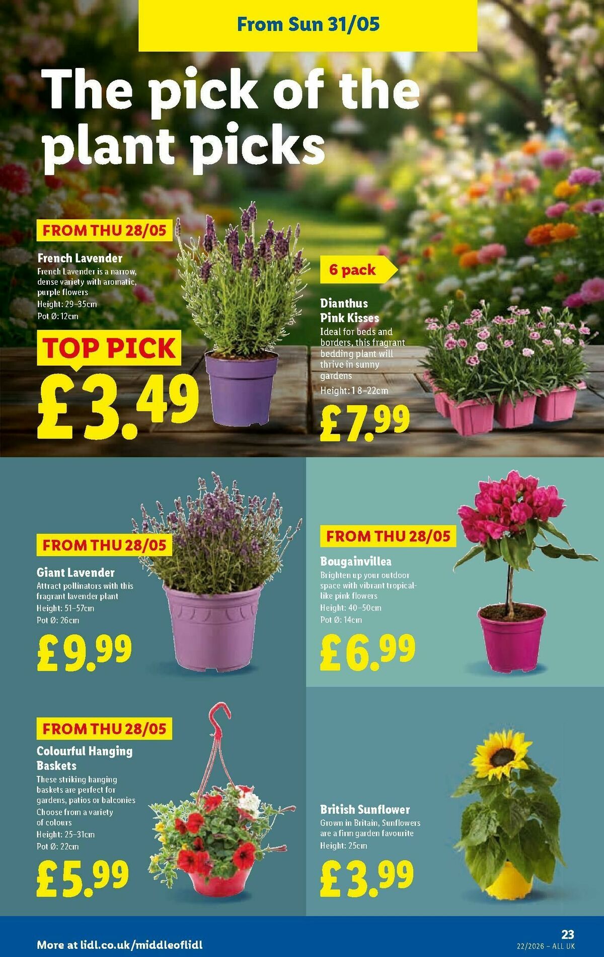 LIDL Wales Offers from 28 May