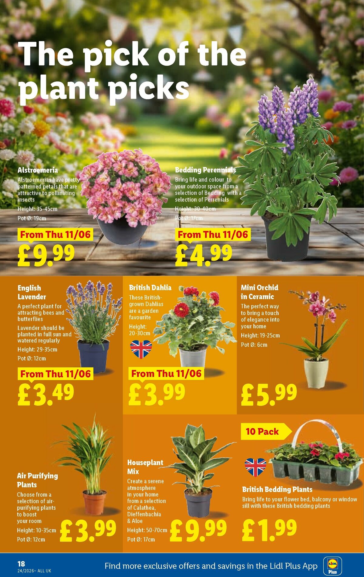 LIDL Scotland Offers from 11 June