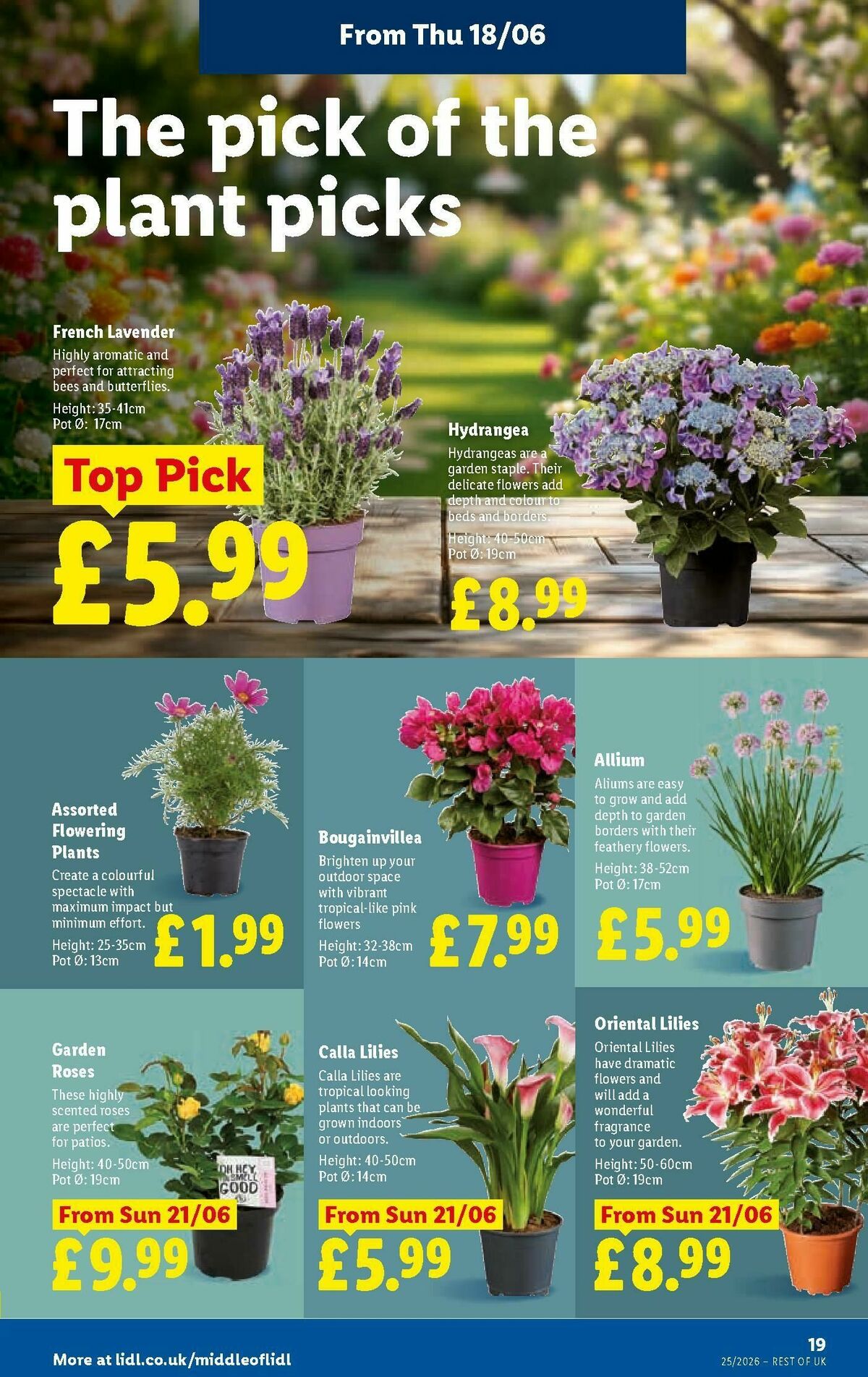 LIDL Offers from 18 June