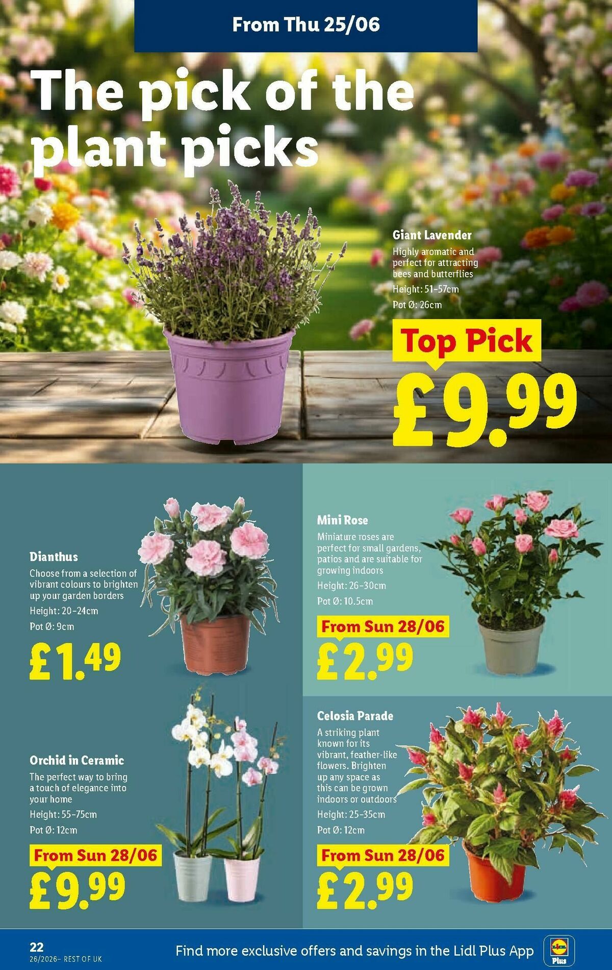LIDL Offers from 25 June