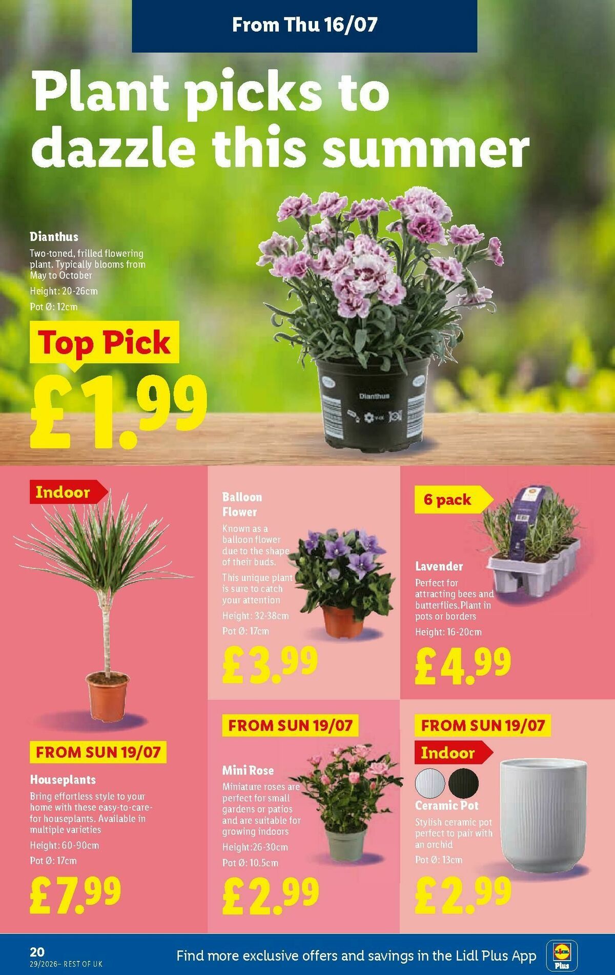 LIDL Offers from 16 July