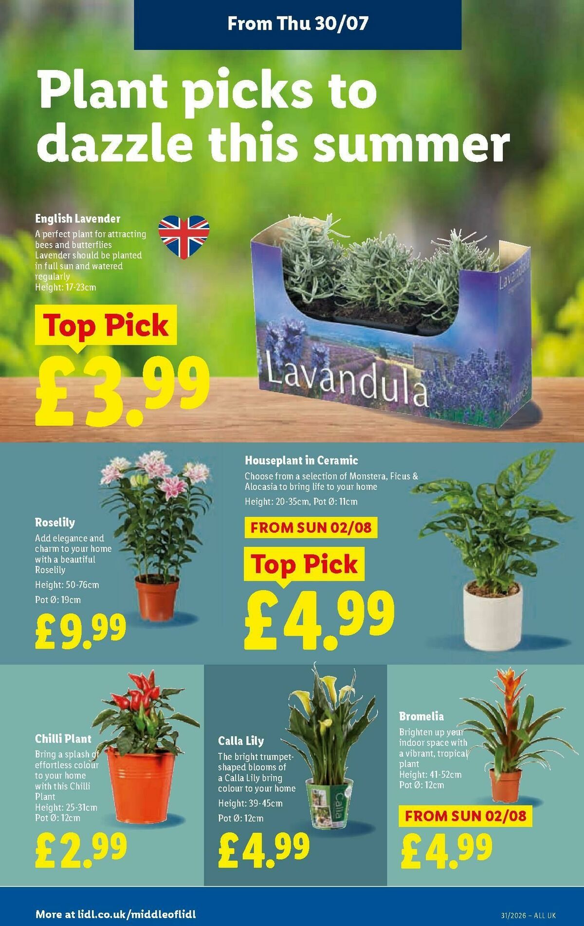 LIDL Scotland Offers from 30 July