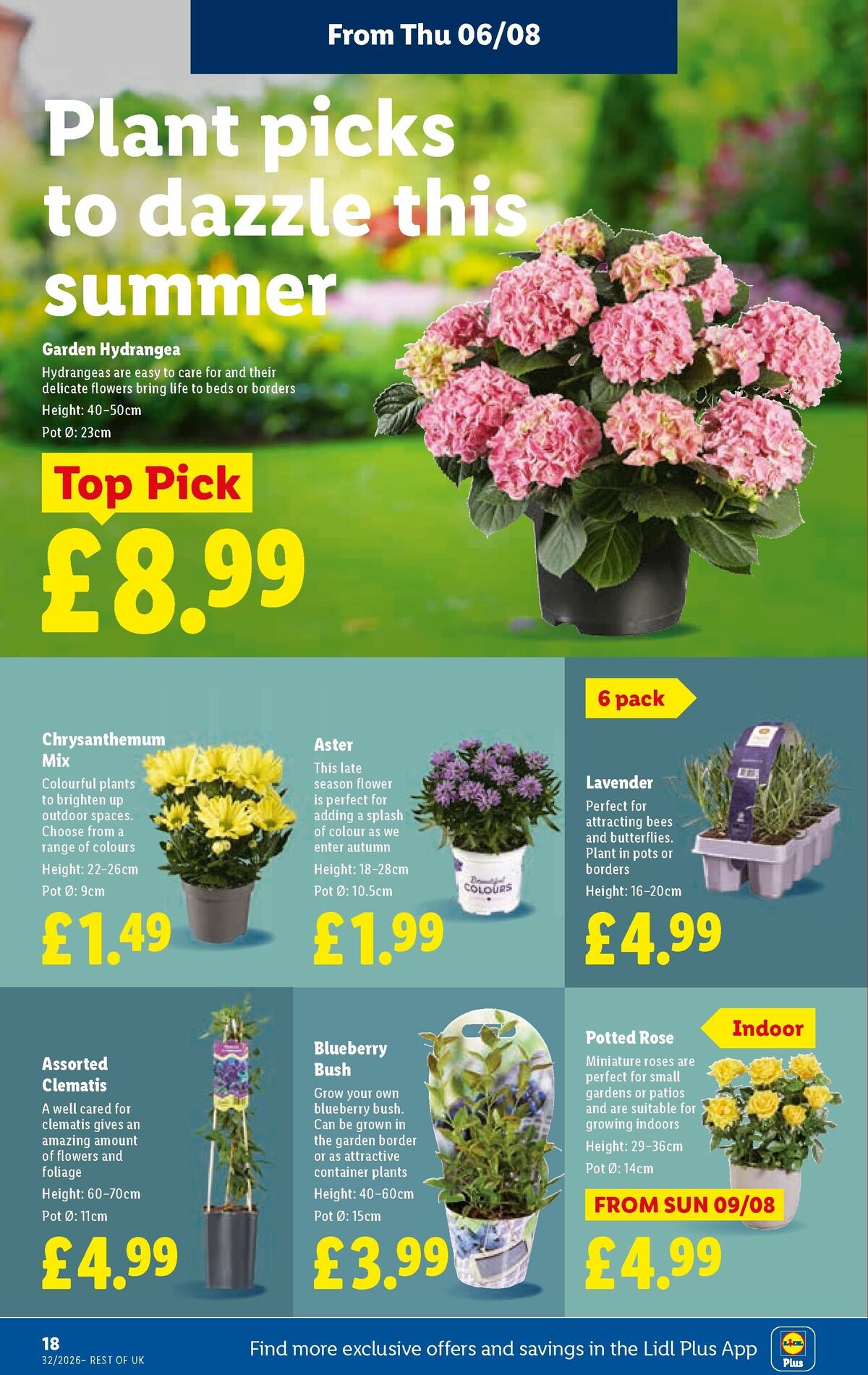 LIDL Offers from 6 August