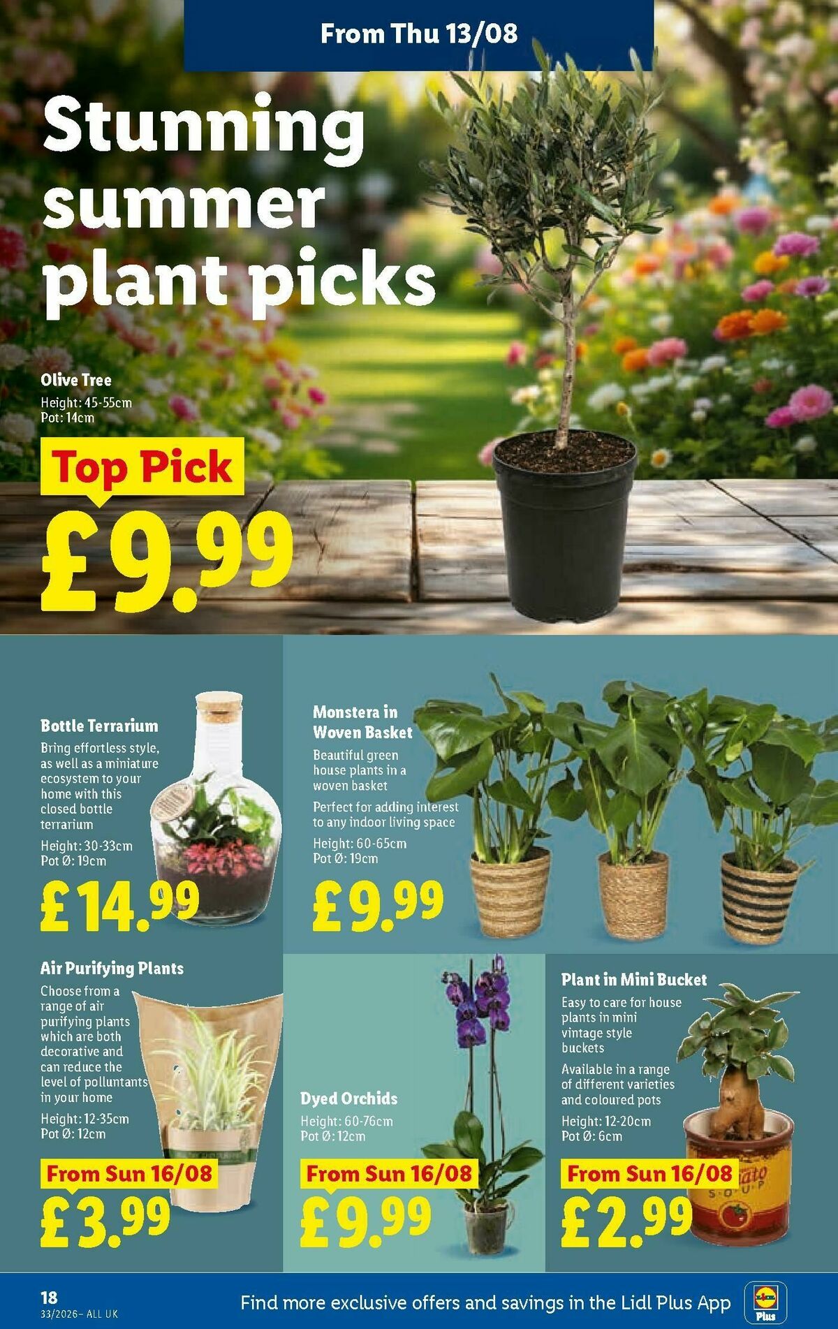 LIDL Wales Offers from 13 August
