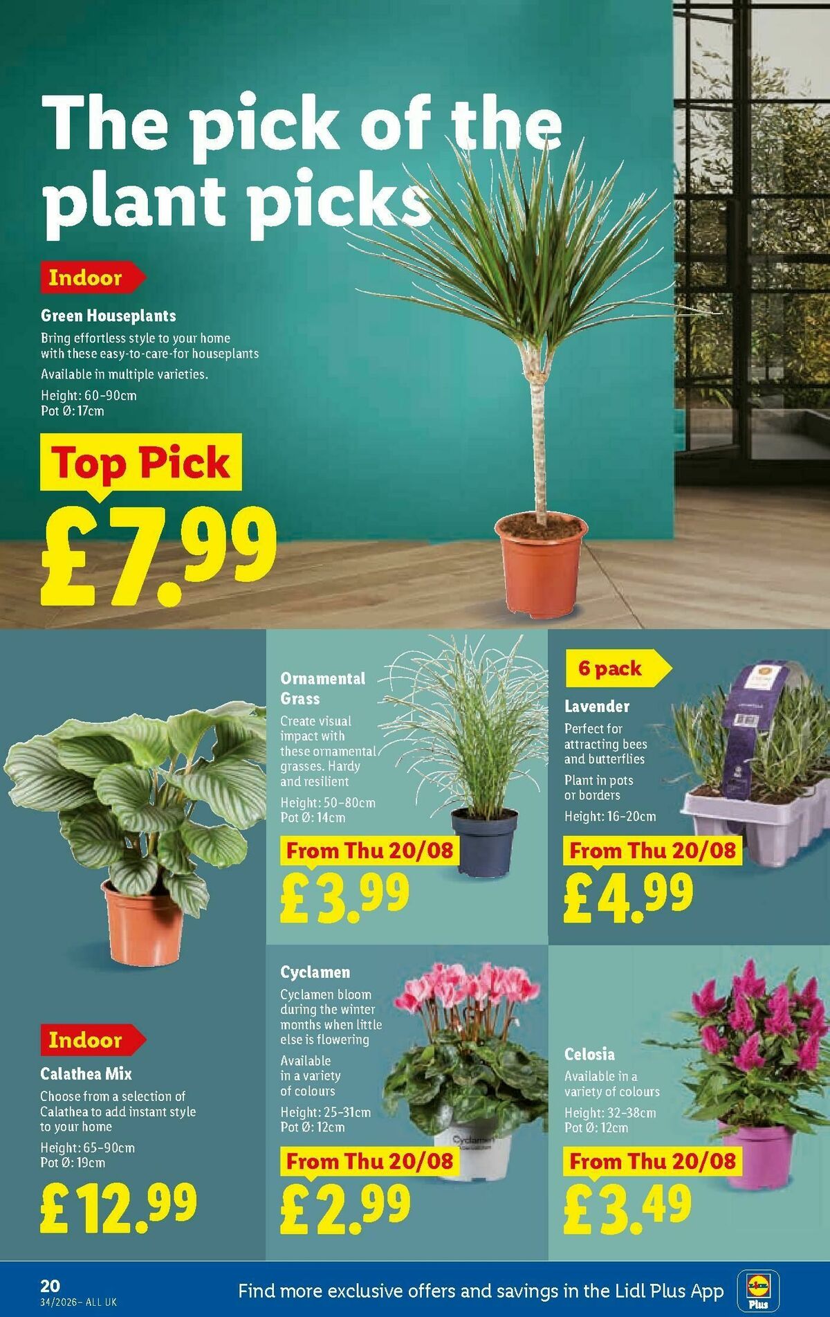 LIDL Wales Offers from 20 August