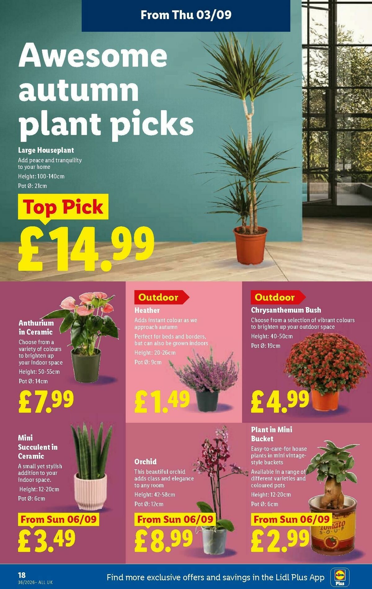 LIDL Offers from 3 September