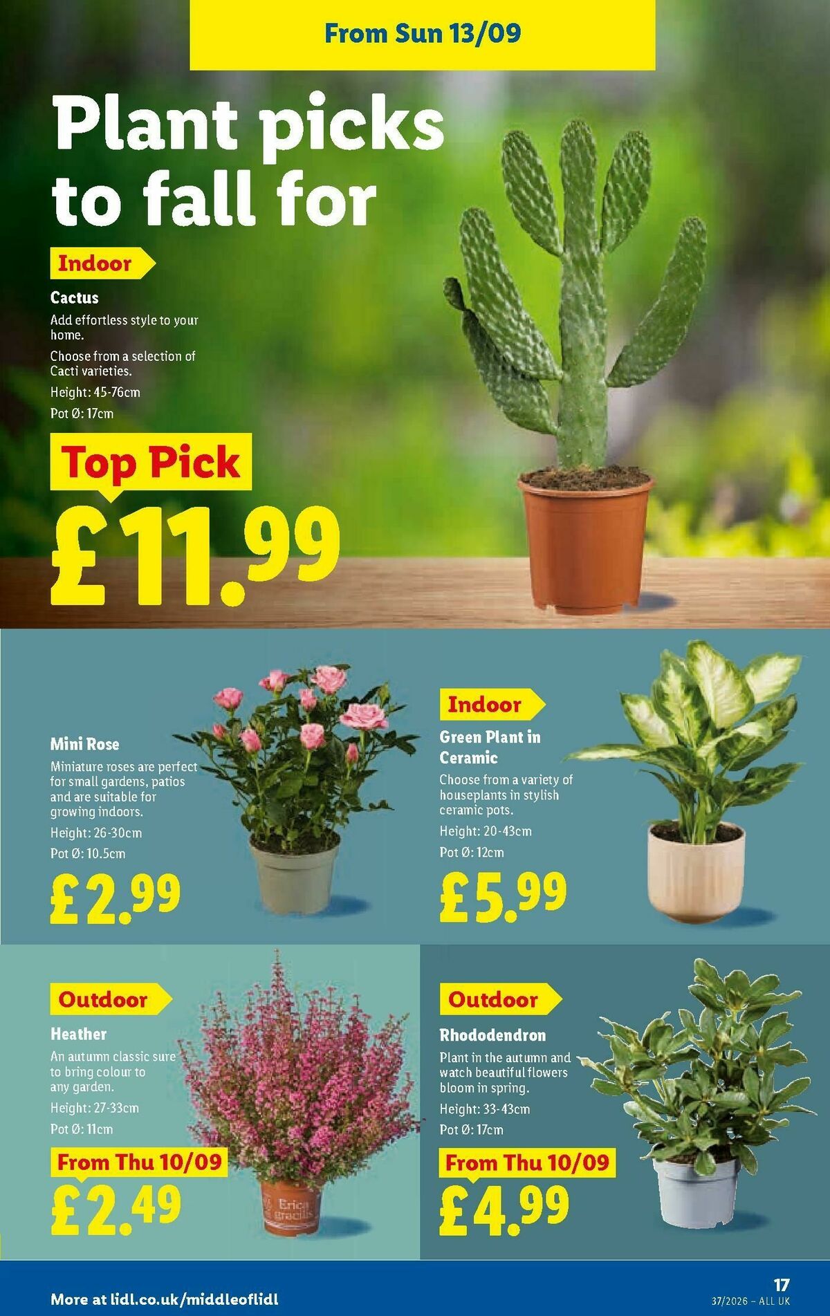 LIDL Wales Offers from 10 September