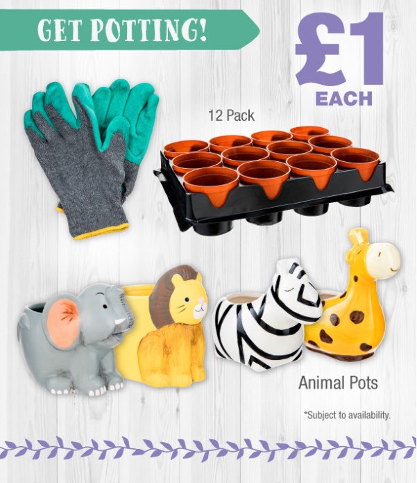 Poundland Offers from 12 May