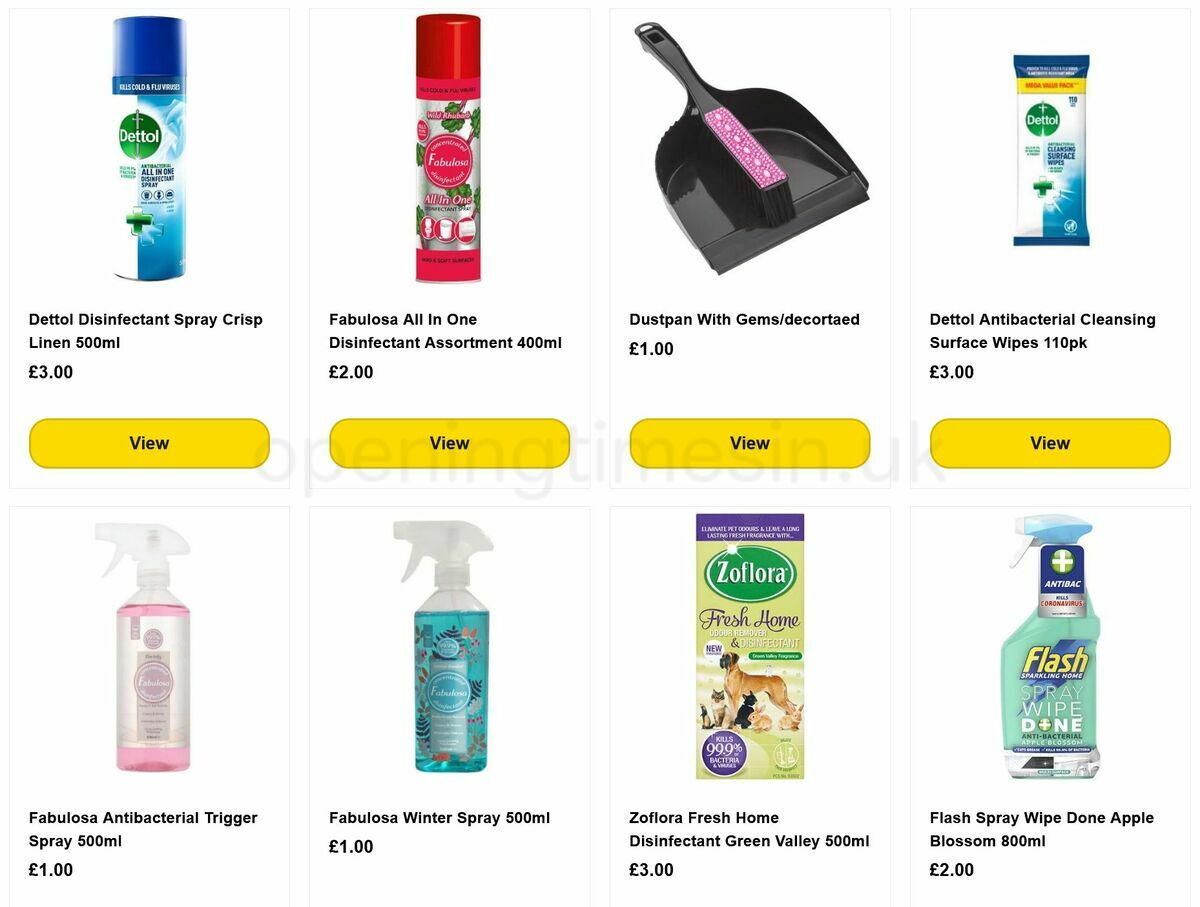 Poundland The Big Clean Event Offers from 20 January