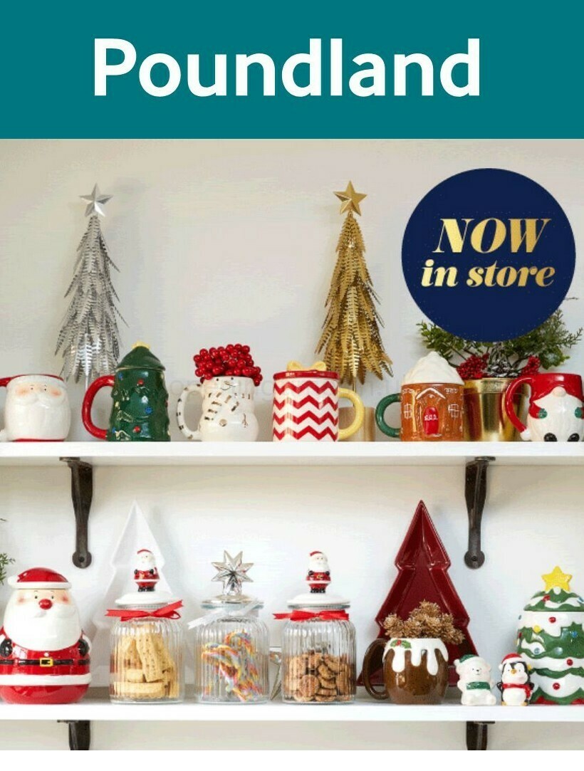 Poundland Offers from 20 November