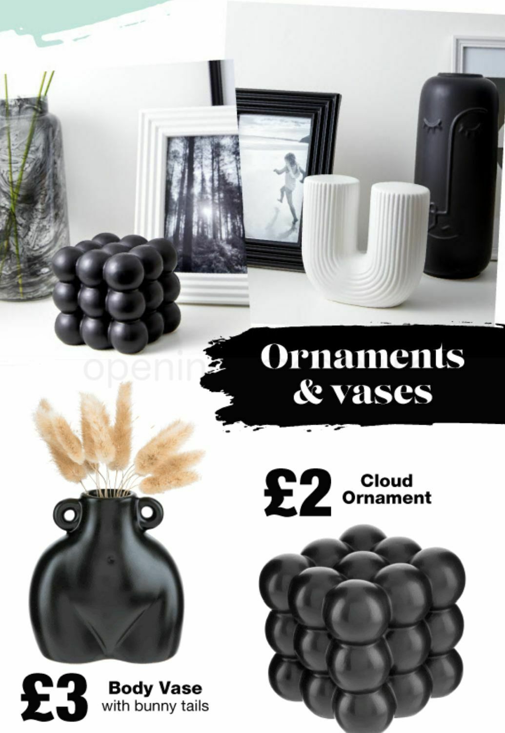 Poundland Offers from 14 January