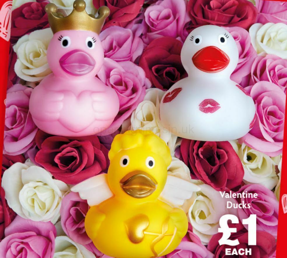 Poundland Offers from 28 January