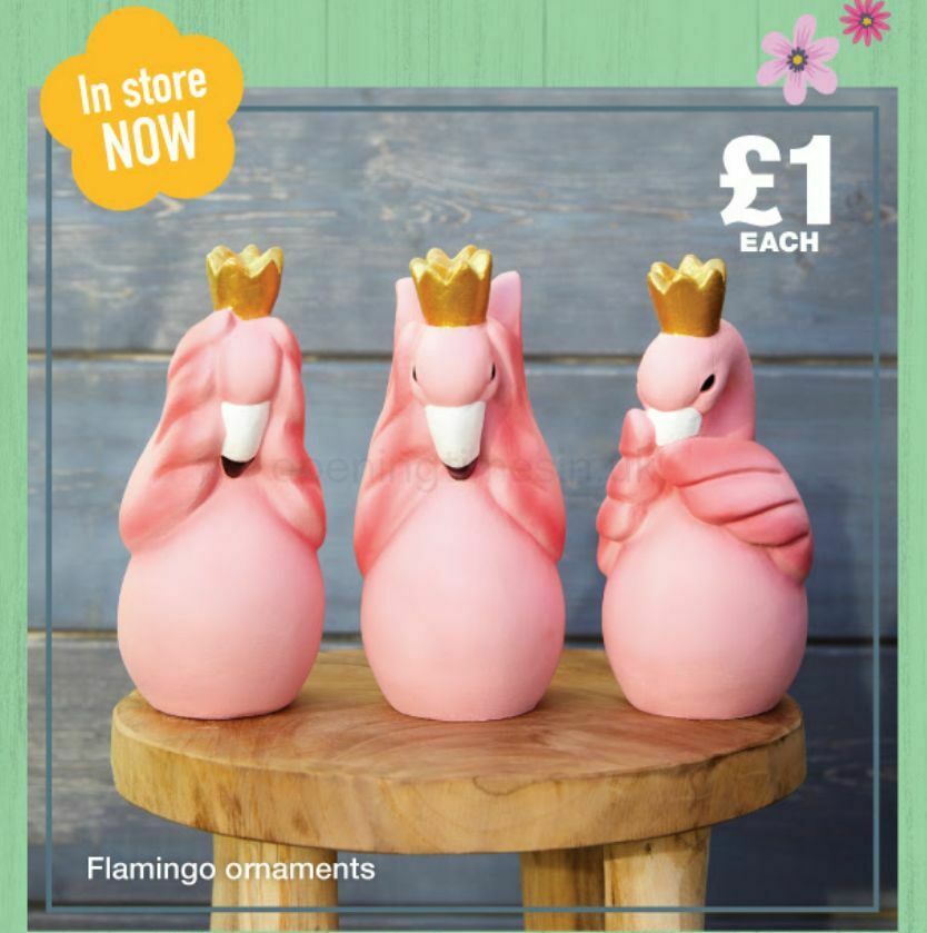 Poundland Offers from 29 May