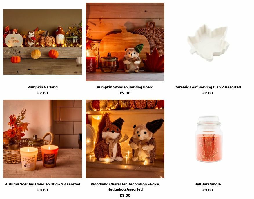 Poundland Autumn Living Offers from 10 August