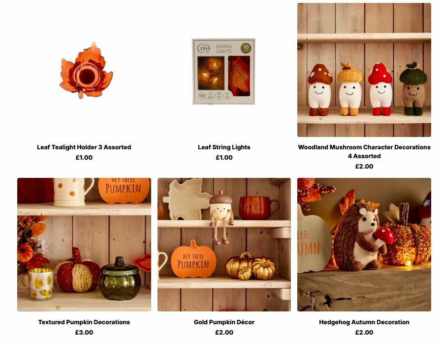 Poundland Autumn Living Offers from 10 August