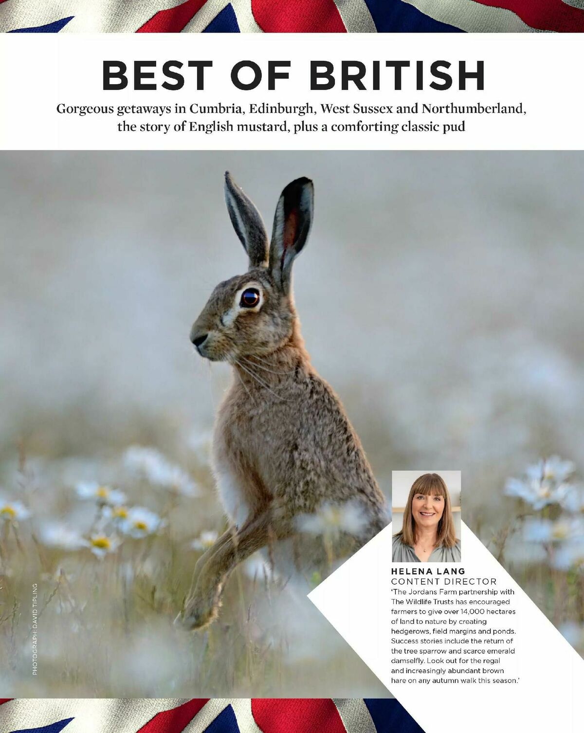 Sainsbury's Magazine October Offers from 1 October