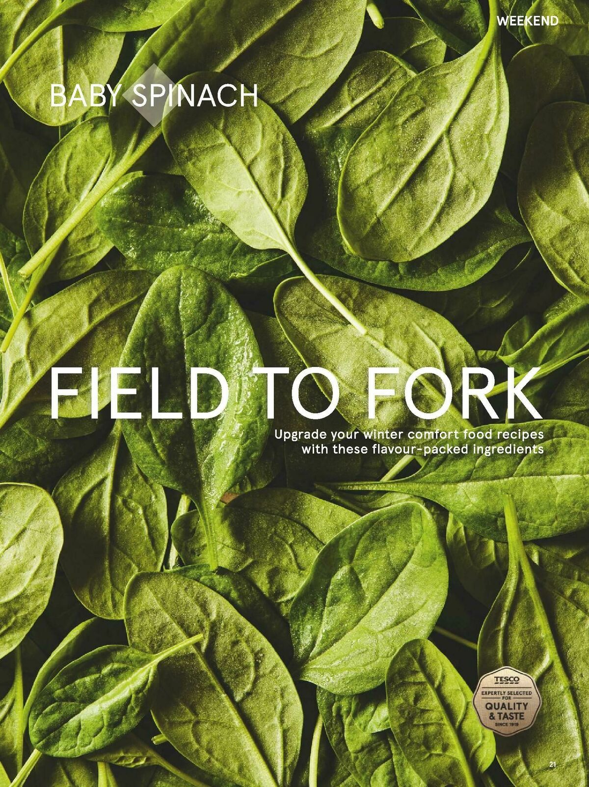 TESCO Magazine February Offers from 1 February