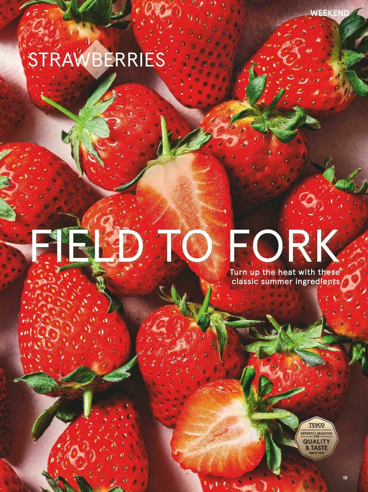 TESCO Magazine June Offers from 1 June