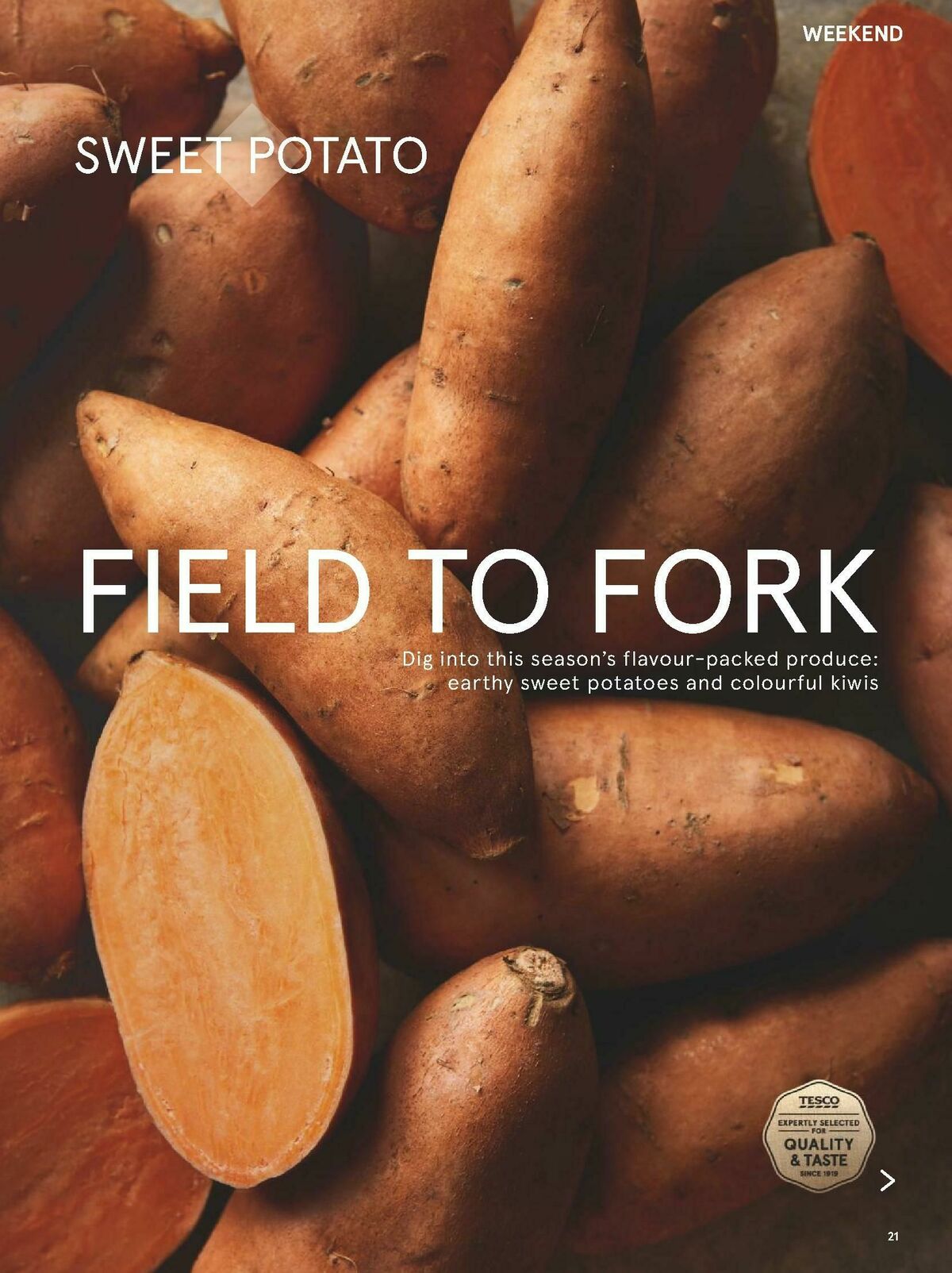 TESCO Magazine January Offers from 5 January