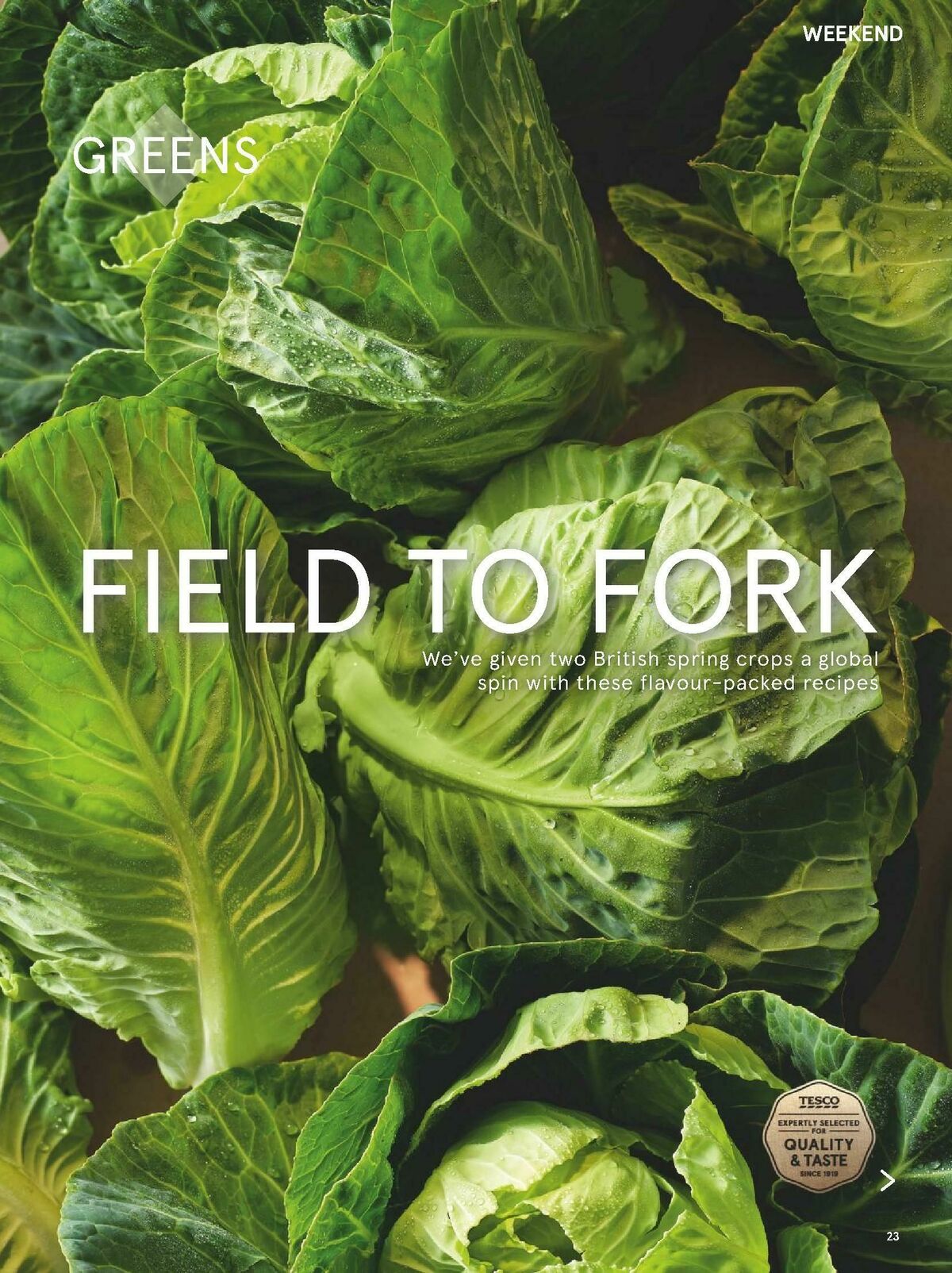 TESCO Magazine April Offers from 1 April