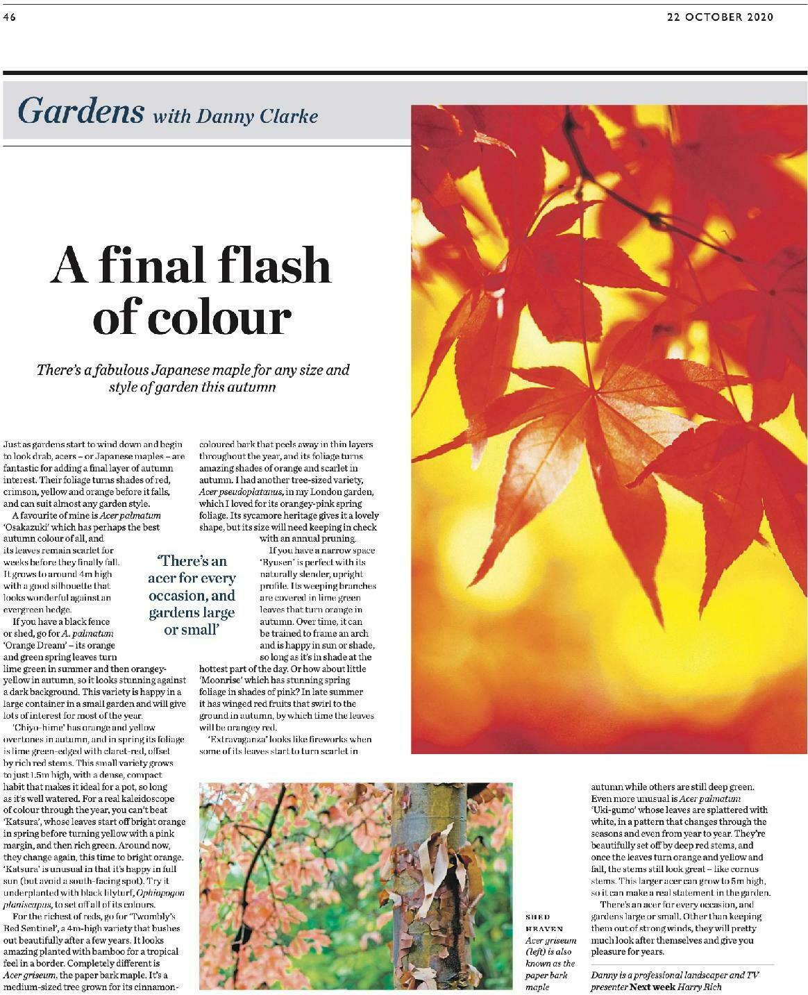 Waitrose Offers from 22 October