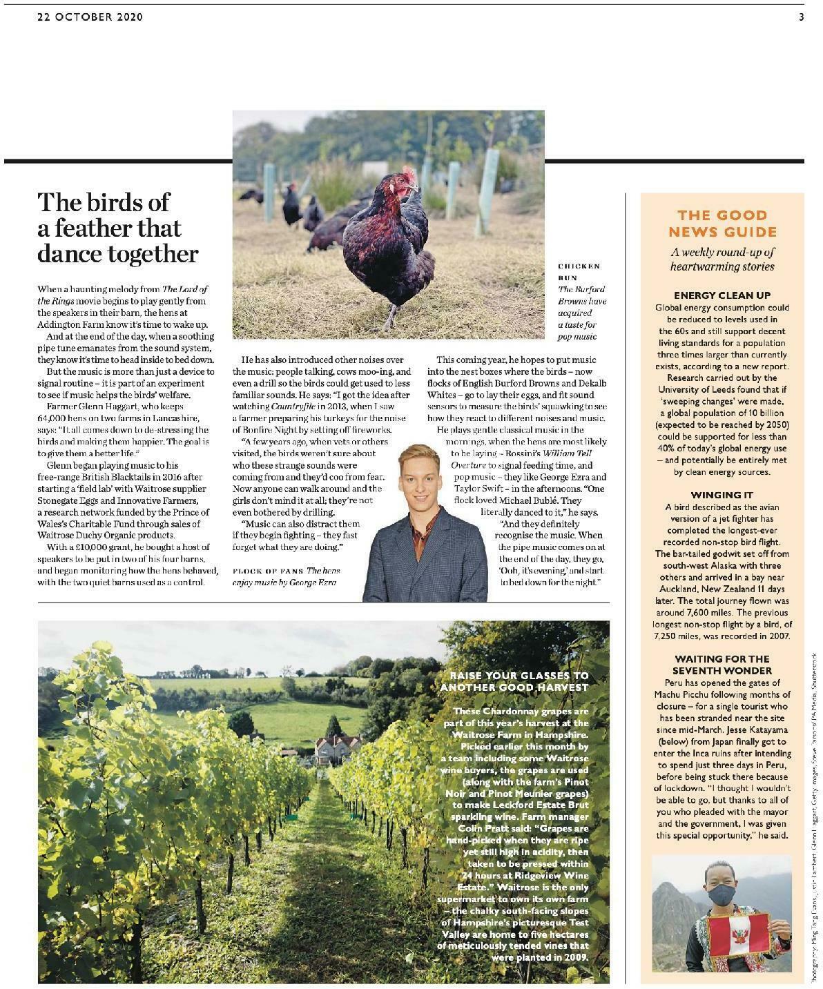 Waitrose Offers from 22 October