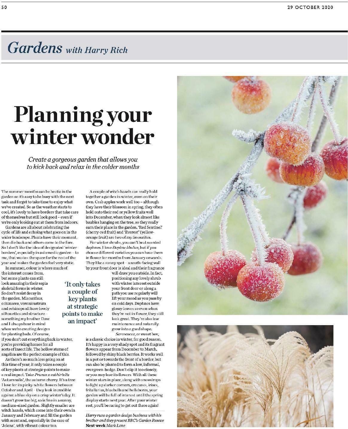 Waitrose Offers from 29 October