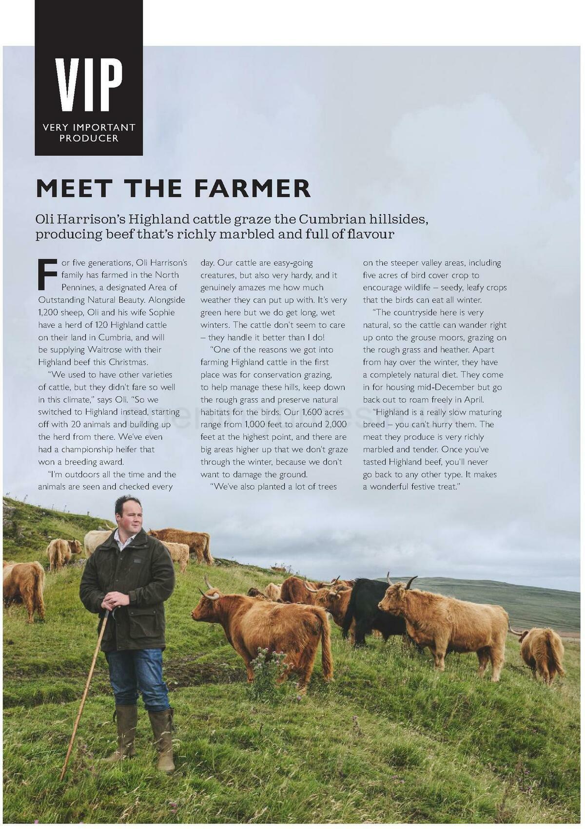 Waitrose Christmas Offers from 1 October