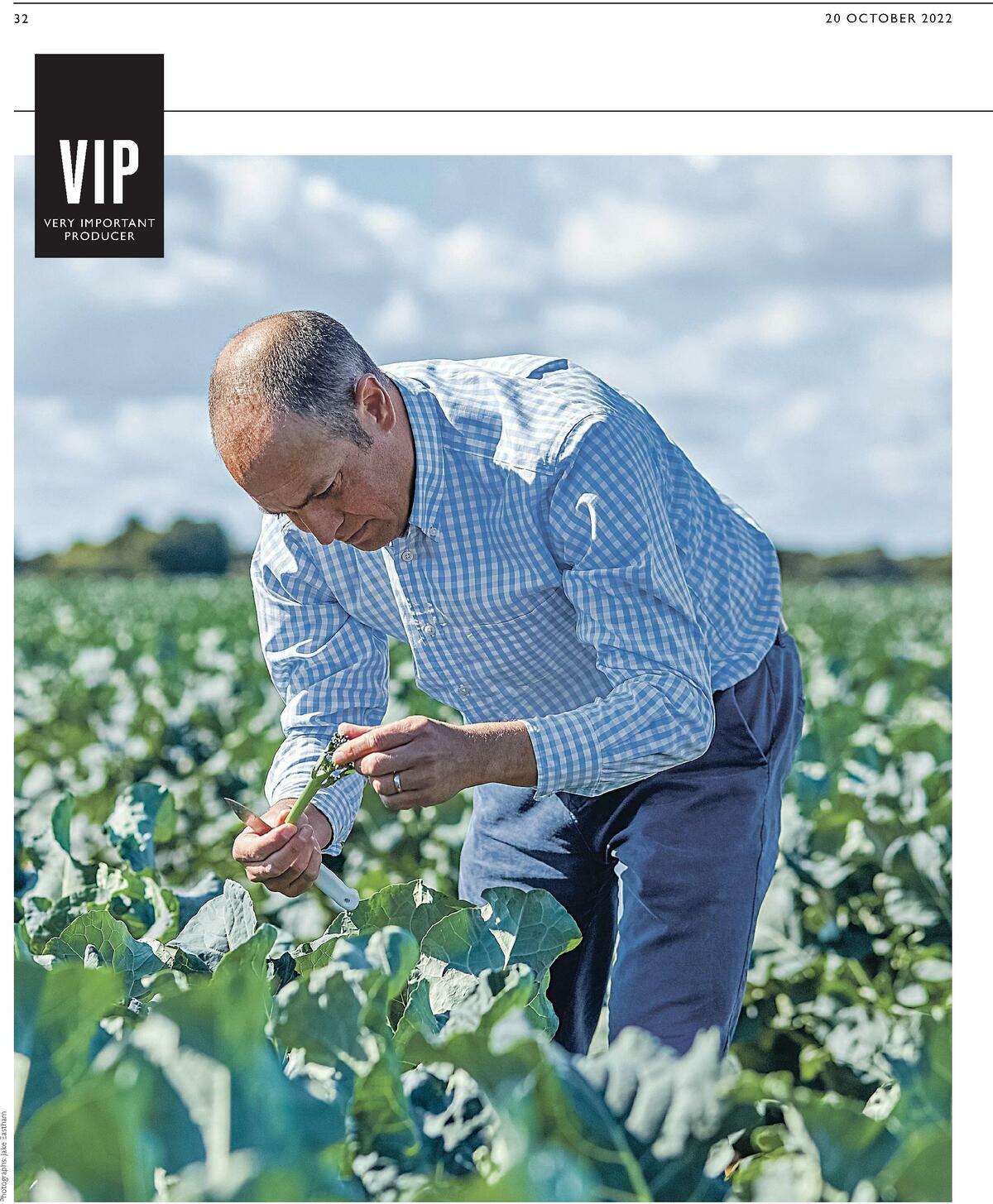 Waitrose Offers from 20 October