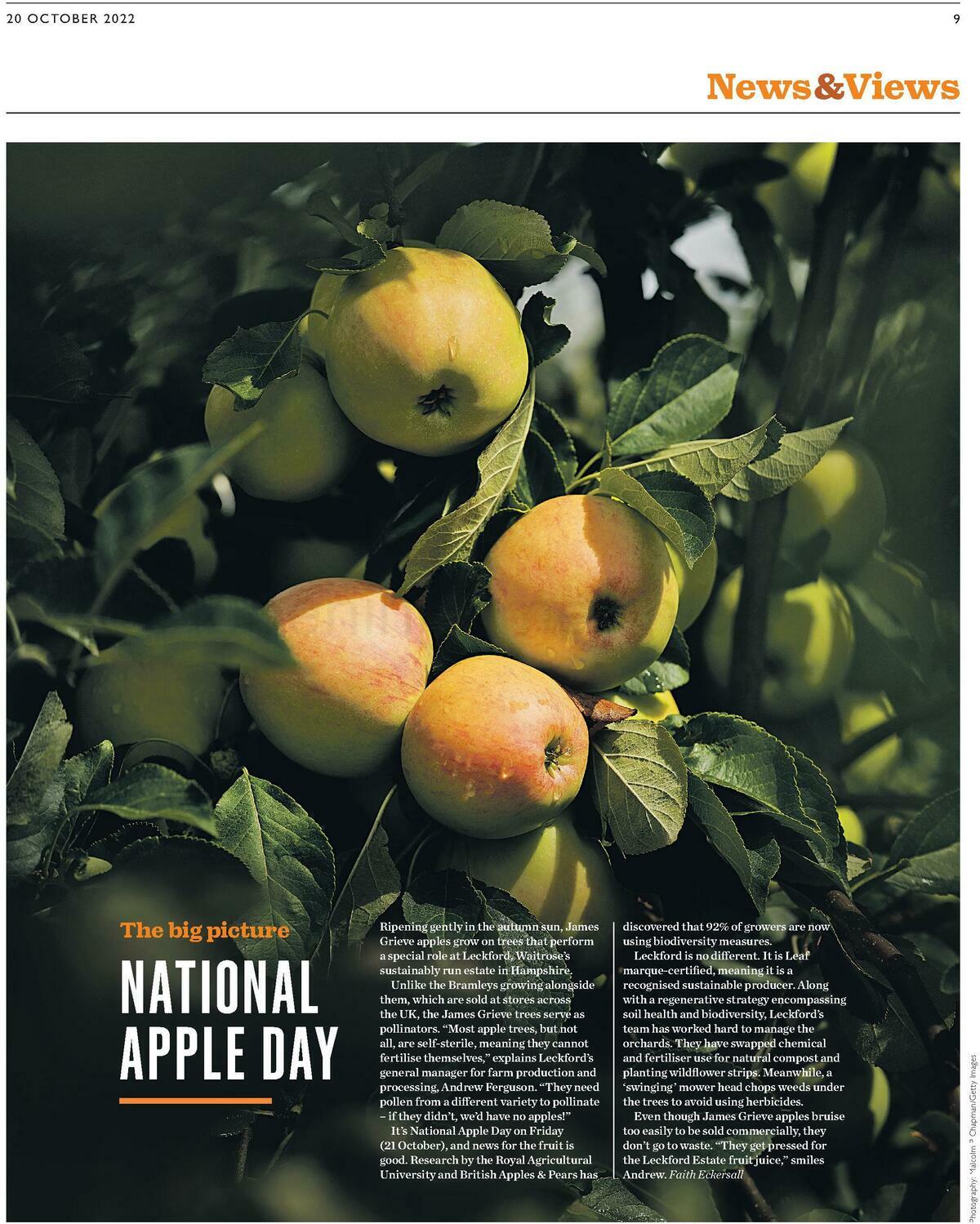 Waitrose Offers from 20 October